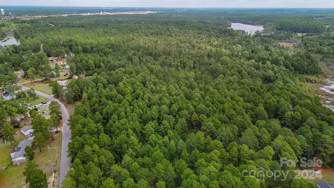 00 Raintree Rd, Hamlet, NC 28345 photo 4