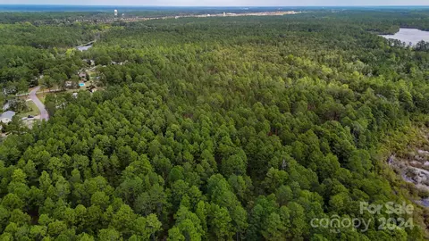 00 Raintree Rd, Hamlet, NC 28345 photo 5