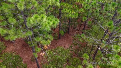 00 Raintree Rd, Hamlet, NC 28345 photo 15