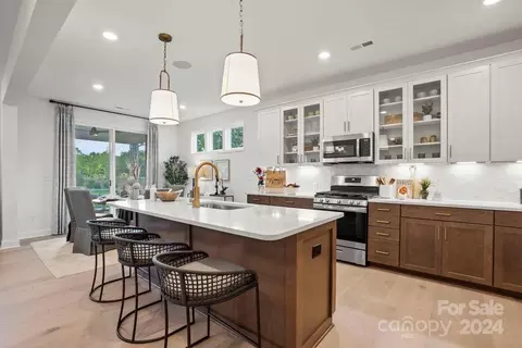 10009 Saddle Branch Dr, Huntersville, NC 28078