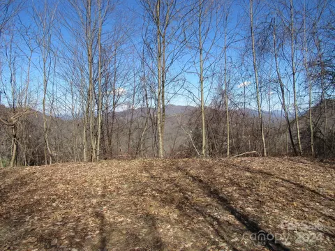 Appalachian Trail, Maggie Valley, NC 28751