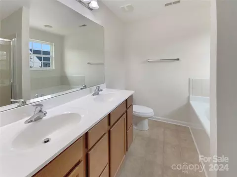 10876 Tailwater St, Davidson, NC 28036 photo 15