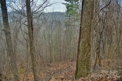 390 Vance Gap 2 Rd #2, Asheville, NC 28804