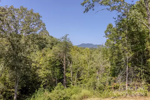 227 Samuels Dr, Canton, NC 28716 photo 47