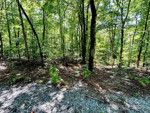 00 Howard Gap Rd, Tryon, NC 28782 photo 3