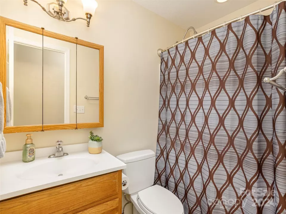  423 Oklahoma Ave, Hendersonville, NC 28739 photo 18