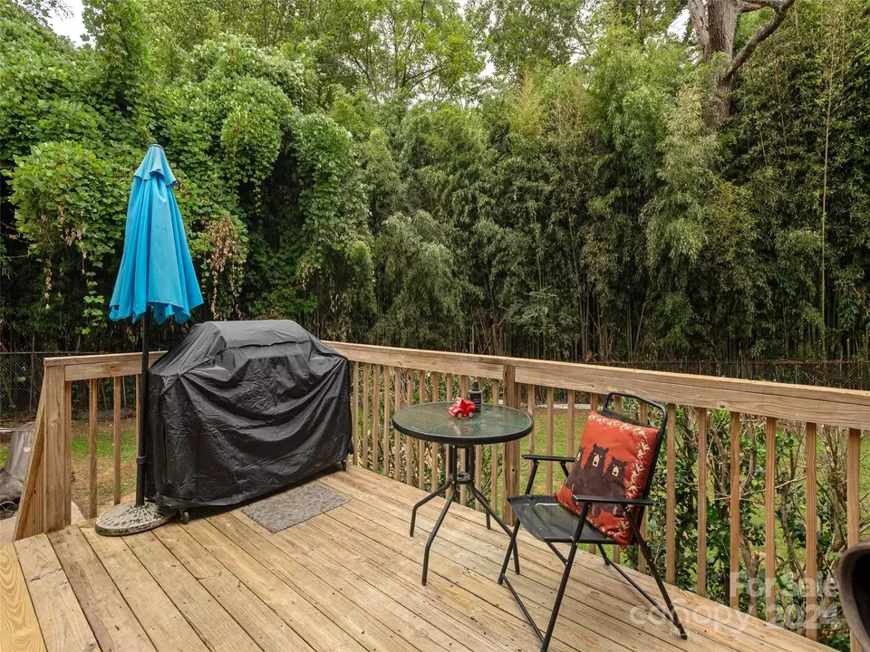  423 Oklahoma Ave, Hendersonville, NC 28739 photo 10