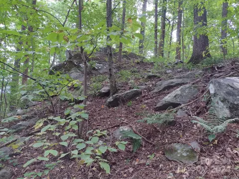 215 Big Rock 319320 Ln #319/320, Lake Lure, NC 28746