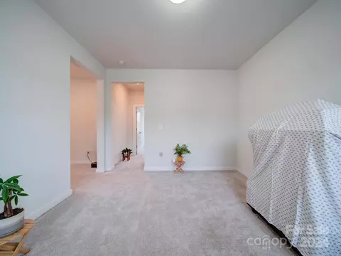 389 Sensibility Cir, Fort Mill, SC 29708 photo 42