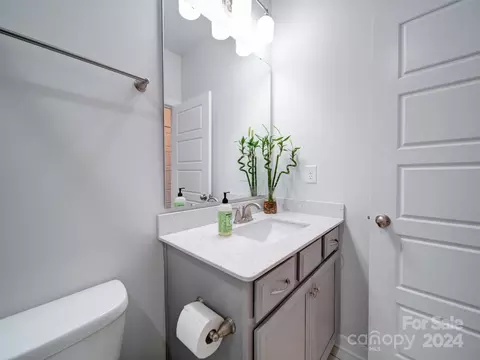 389 Sensibility Cir, Fort Mill, SC 29708 photo 26