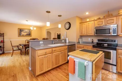 107 Blue Cedar 19 Rd #19, Sylva, NC 28779 photo 10