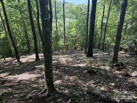 Reach 176 Road #176, Sylva, NC 28779 photo 2