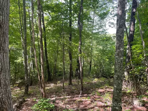 Reach 176 Road #176, Sylva, NC 28779 photo 5