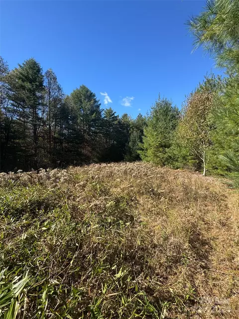 999 Stone Way Dr, Cedar Mountain, NC 28718