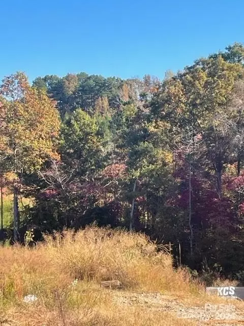 6838 Forney Hill Rd, Denver, NC 28037