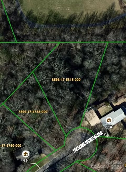 Forest Ridge Avenue, Brevard, NC 28712