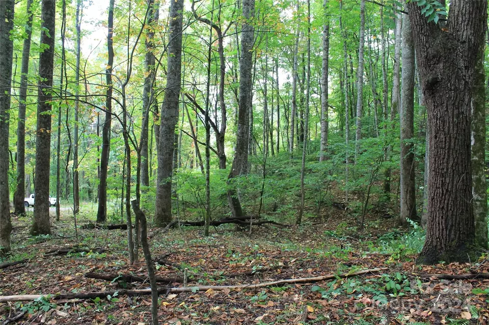  21 Club Crest Rd, Maggie Valley, NC 28751 photo 8