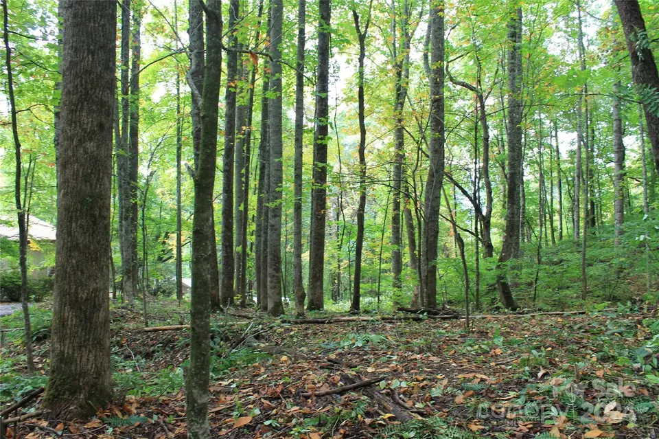  21 Club Crest Rd, Maggie Valley, NC 28751 photo 10