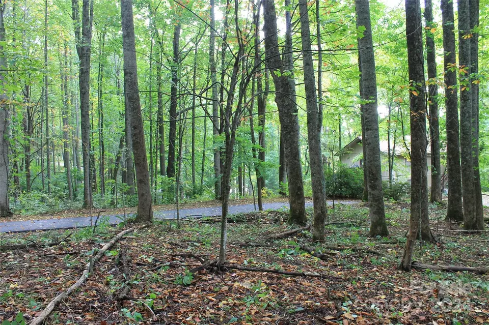  21 Club Crest Rd, Maggie Valley, NC 28751 photo 7