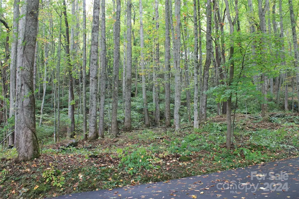  21 Club Crest Rd, Maggie Valley, NC 28751 photo 3