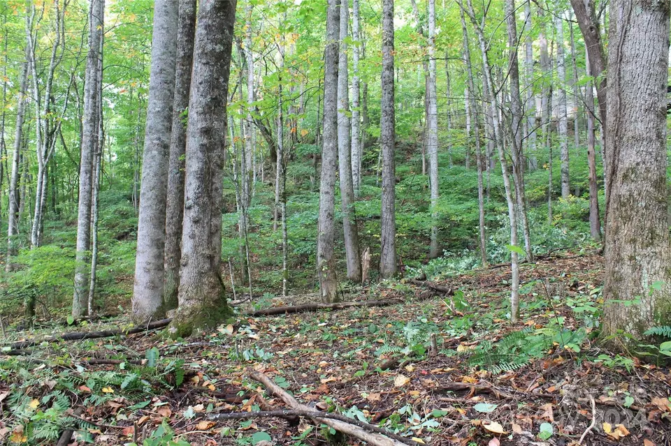  21 Club Crest Rd, Maggie Valley, NC 28751 photo 12