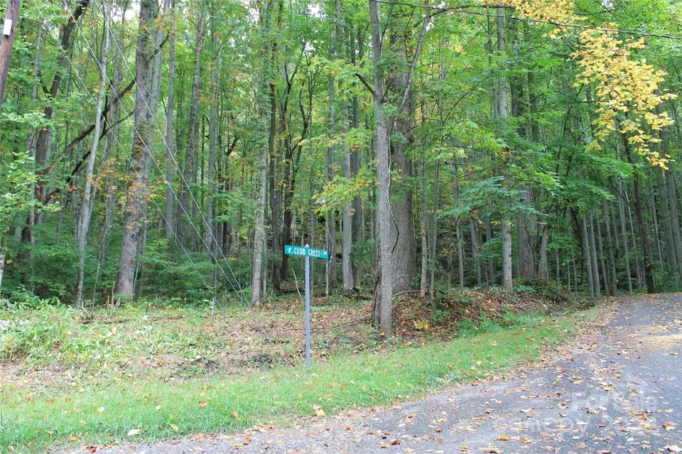  21 Club Crest Rd, Maggie Valley, NC 28751 photo 2