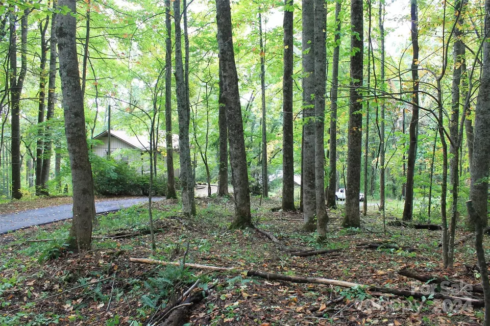  21 Club Crest Rd, Maggie Valley, NC 28751 photo 9