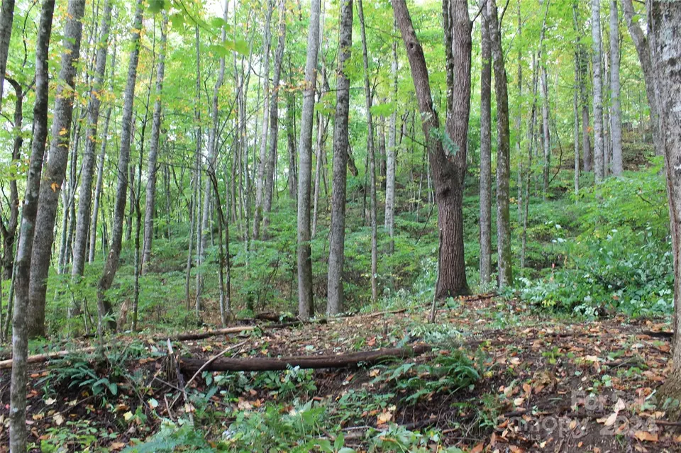  21 Club Crest Rd, Maggie Valley, NC 28751 photo 11