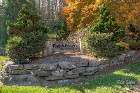 1504 Pisgah Preserve 6 Rd #6, Nebo, NC 28761