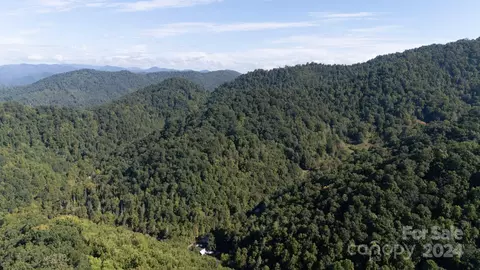 9999 Kelses Valley Dr, Mars Hill, NC 28754