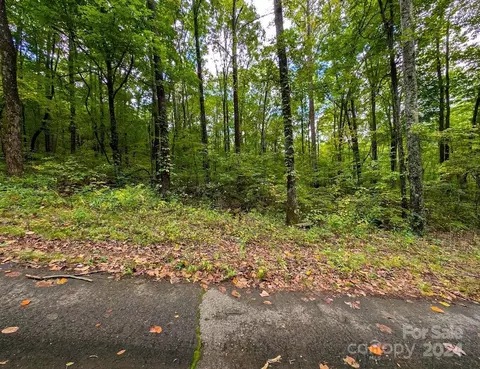Horse Cove Road, Canton, NC 28716