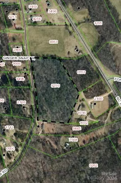 7070 Walker 7 Rd #7, Nebo, NC 28761