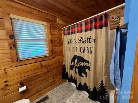 Bath - 795 Valley View Dr, Bostic, NC 28018 photo 2 of 7