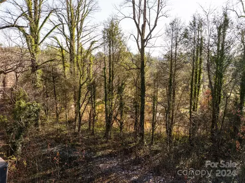 10 Mcgee Hill Rd, Fairview, NC 28730 photo 11
