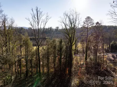 10 Mcgee Hill Rd, Fairview, NC 28730 photo 20