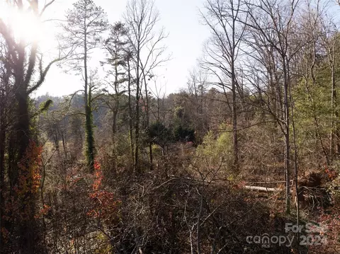 10 Mcgee Hill Rd, Fairview, NC 28730 photo 12