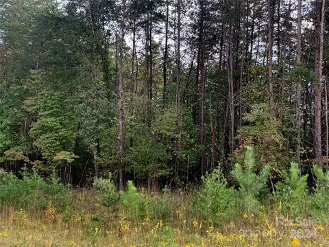 0 Manus Chapel Rd, Mill Spring, NC 28756 photo 3