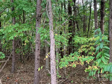 0 Manus Chapel Rd, Mill Spring, NC 28756 photo 5