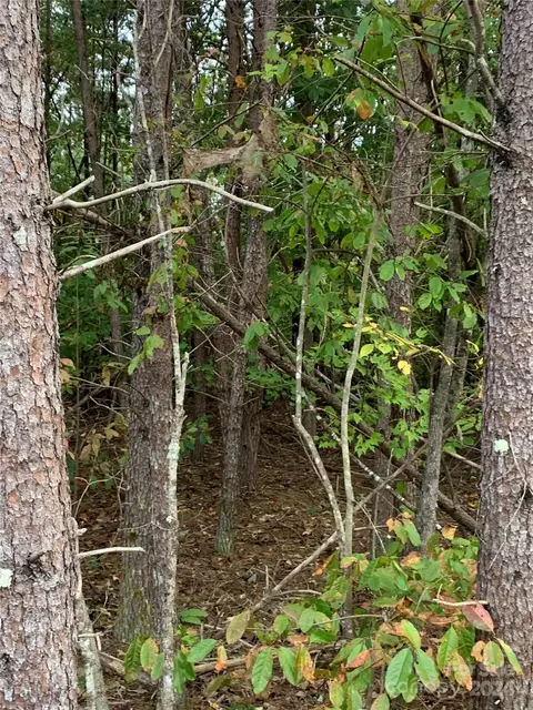 0 Manus Chapel Rd, Mill Spring, NC 28756 photo 6