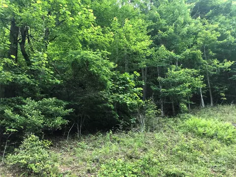 000 N Blue Ridge E 167 Pkwy E #167, Jefferson, NC 28640