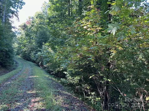 0 Red Wolf Run, Mars Hill, NC 28754 photo 2