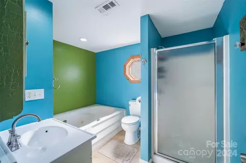 Bath - 204 Mint Way, Flat Rock, NC 28731 photo 1 of 1