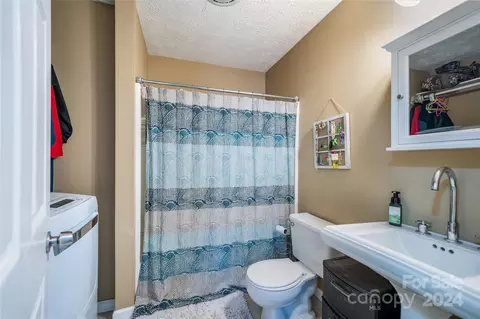 Other - 204 Mint Way, Flat Rock, NC 28731 photo 4 of 10