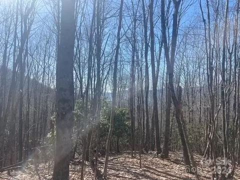 1301 E Reach 179 Rd #179, Sylva, NC 28779 photo 3