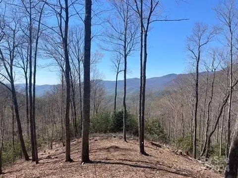 1301 E Reach 179 Rd #179, Sylva, NC 28779