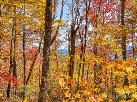 0000 Eagles Nest Rd, Waynesville, NC 28786