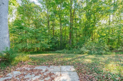 218 Bubbling Well Rd, Denver, NC 28037 photo 24