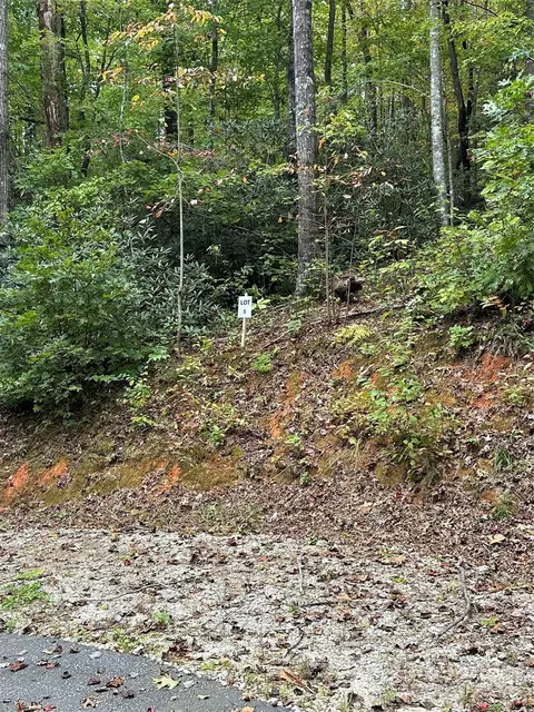 Undisclosed, Old Fort, NC 28762