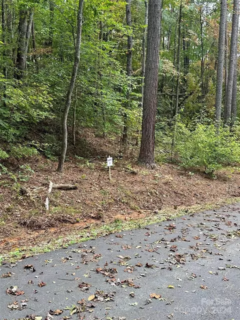98 Cherry Cove 7 Way #7, Old Fort, NC 28762