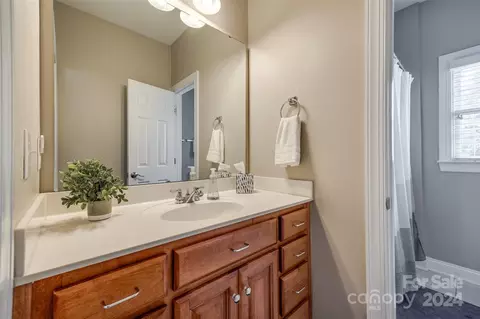 1732 Bentgrass Ln, Tega Cay, SC 29708 photo 19